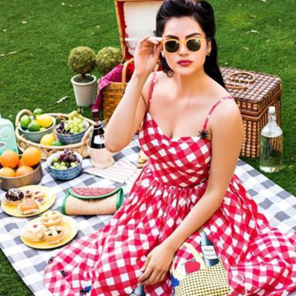 1950s Checkered picnic blanket darcy swing dress